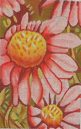 M-2175 Cone Flowers © Cathy Horvath-Buchanan