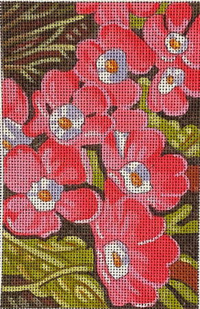 M-2179 Pink Verbame © Cathy Horvath-Buchanan