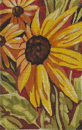 M-2180 Rudbeckia © Cathy Horvath-Buchanan